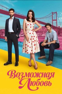 Возможно любовь - постер
